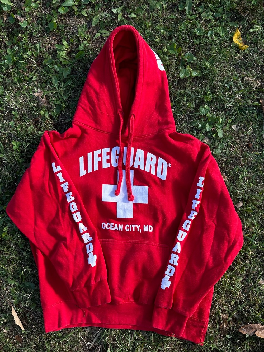 Y2K OCMD Hooded Sweatshirt w Lifeguard Logo on Sleeves by Lifeguard Brand